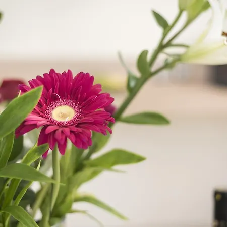 公寓 海洋与城市公寓